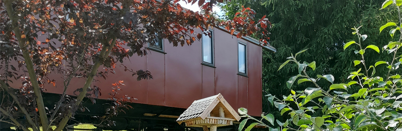 Eisenbahnwaggon umgeben von Bäumen
