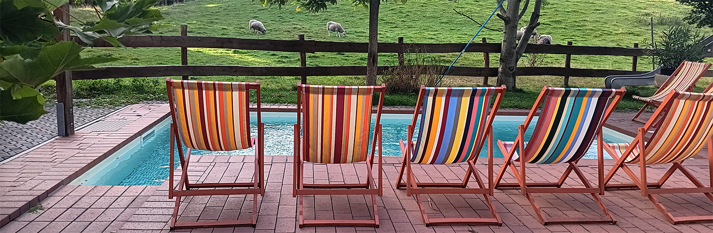 Pool im Hof, im Hintergrund Weide und Schafe